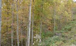 Mostly wooded 2.49 Acre Lot 10 minutes to I-79; included small pond on lot.
Listing originally posted at http
