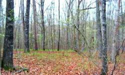Very special 1.31 acre lot in small established development near Clarkesville, Georgia. Gently slopes from road making it a perfect basement or crawl space lot. Small spring in rear. Soil test done & ready to build. Owner licensed agent in Georgia.Listing