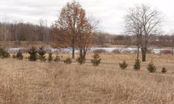 Lake view lot with deeded lake access. 1.8 Acre site on Shaftsburg Road between Laingsburg and Perry. Perfect for a walk-out basement. Overlooks a 4 acre lake. Access to the lake is clear and deeded.