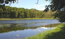 Enjoy 180 degree water views of one of Central Wisconsin's secluded 60 acre swimming and fishing lakes. Featuring an outstanding building site that gives you these incredible views, this fully wooded lot has been perc tested for a conventional septic