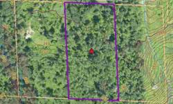 Ready to go, CAD approved. 80 year old timber (some huge Douglas fir and cedar). Southerly exposed, perfect solar orientation. Potential view of Cherry Valley. Level to gently sloped. This is a great opportunity to buy land at an UNBELIEVABLE