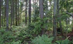 Looking to build your own home? Well this wonderful home site is centrally located in a very private area w/ tons of mature evergreens. Listing originally posted at http
