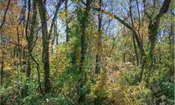GREAT OPPORTUNITY - WOODED LOT BACKS UP TO CORP PROPERTY AND OLD HICKORY LAKE - SEPTIC PERMIT GOOD FOR 2 YEARS - CORNERS STAKED - TWO PARCELS SIDE BY SIDE - COULD SELL AS ONE LOT - BUILD YOUR DREAM HOME NEAR THE LAKEListing originally posted at http