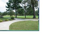 Great investment! already going up in price, some expensive places going in there. There are 3 lakes, 3 golf courses, club house, pool, dock use, utilities close, has an air strip near by, and a beautiful area. Either selling sep. at $4000 each, valued at