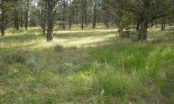 Build on this 1.490 acres covered with Juniper Trees, views of mountains Power is at the front of property access year-around. Located in Modoc Co. Just 6 miles N. Of Alturas country feel but still close to all amenities. Priced to sell FAST!
Listing