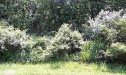 Beautiful level wooded lot sits high on hill with seasonal view of lake. Subject to LWA rights of 1st refusal, rules and covenants. LWA dues - $463/year
Listing originally posted at http