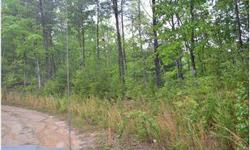 Great price on a vacant lot! What better time to invest in the market. Lot features native hardwoods, mountain views and lots of privacy!! Less than 5 minutes to downtown.
Listing originally posted at http