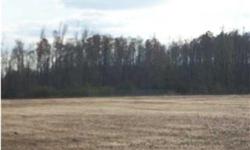 26 ac. in rural community of Goodway, Al. Restrictive Covenants for home owners' protection. Level, cleared, public water access and ready for new home construction. Already fenced for pasture including wet-weather cypress pond. Great place for week-end