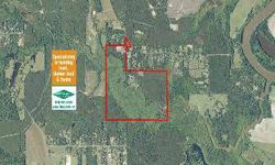 280 acres home site, development, timber, hunting south of West Monroe in Ouachita Parish, LA Tract is accessed from Philpot road, off Hwy 34 south of West Monroe. Made up of over 100 acres of high ground that falls off into a bottom and Lapine Brake.