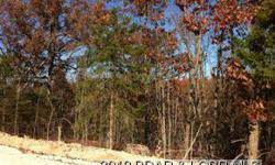 Great opportunity to own lots and build your own house or spec a home. Middle of Osage Beach, city water and city sewer, new road all with lake access. This price is for 6 Lots!!!
Listing originally posted at http
