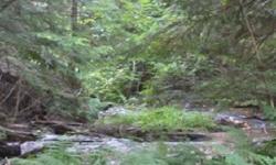 Almost five acres along the creek. Plenty of wildlife and only half of mile away from the State Park. Great for horse riding and snowmobiling. Additional seven acres w/cabin available to purchase with this property.Listing originally posted at http