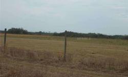 5 plus acres located near US 27 and I-4. Bring your cattle or build your dream home. Must see!!!