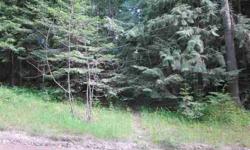 Level and nicely wooded 5 acre parcel on W. Spring Creek Road in Hope. Easy access off county road and less then a mile off Highway 200. Power and phone are in the streeet. Buyer to drill well and install septic system.
Listing originally posted at http