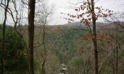--Private building site on this 3.14 +/- acres that adjoins 10,000 +/- acres of the Gamelands property. Perfect for the hunter, fishing, trails, underground utilities, city water, perfect for that get away!
Listing originally posted at http