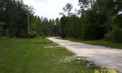 Nice 5 acre wooded lot in a wonderful established neighborhood with plenty of elbow room. Lots of trees for privacy, well kept graded roads, within 2 miles of Ichetucknee Springs State Park, "A" schools, convenience stores and easy access to Lake City,