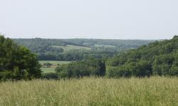 This farm land is subdivided into 10 to 50 acre lots (starting at $50,000). Beautiful rolling hills, gorgeous views, creeks, springs, ponds and abundant wild-life are all offered by this subdivision of mini farms, known as Richey Farms. This land is