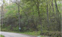 Conveniently located only 2 miles from downtown Hayesville, this 8.155 acre tract features level to rolling terrain with beautiful hardwoods, rhododendron and dogwoods. Build your home with plenty of room for privacy. Some light clearing will give you a