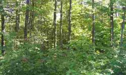 Grab a couple of friends or have a lot of room for yourself. We have combined 3 adjoining gorgeous wooded parcels with over 1300 feet of frontage bordering a huge block of national forest. Located in the heart of recreation paradise. Hunt, ATV, Snowmobile