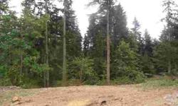 2 lots for 1 price! 2 cleared prime 1/4 acre lots with view of Blue Lake. Located across the street from Clear Lake on Clearwood's most prestigious street of custom lakefront homes. Perfect lots for daylight basement plans w/ very gentle slope toward Blue