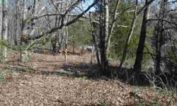 23.61+/- acres of land located between Collinwood and Waynesboro, Tn. Property backs up to Natchez Trace Parkway in Wayne County and has pond on it. Great for hunting or building site.Listing originally posted at http