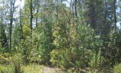 Wterford Dubdivision. Partially wooded beautiful Lot approx. 0.63 acres.
Listing originally posted at http