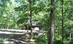Get away into the woods and back to nature. This place is private, quiet, peaceful, and has plenty of wild life. There is a cabin that has a living room, kitchen, and an addition (that was going to be a bathroom/utility room) that has been started but
