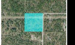 Corner Parcel, Area boasts everything from horse ranches to mobile homes, a short drive to the water, a great bargain on this land.
Listing originally posted at http