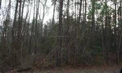 NICE PERKED LOT READY TO BUILD YOUR DREAM HOUSE WITH LOTS OF ROOM CLOSE TO ALL IN SNOW HILL APPROX 15 MILES TO POCOMOKE 16 MILES TO SALISBURY AND ABOUT 5 MILES TO SNOW HILL ALSO NOT TO FAR FROM WALLOPSListing originally posted at http