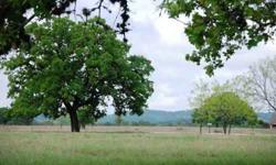 Classic Hill Country Views!!! Come and get it!!! This is what you're looking for, 4.22 acres, water system and great building restrictions and great dirt in the beautiful Orchard Park of Medina. Wonderful building site amongst colossal old growth post oak