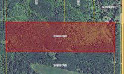 Great hunting on nearly 40 acres just North of Blackduck. All high ground, 100% wooded, mixed growth, 300ft MN 72 frontage. Seller financing considered. Agent/OwnerListing originally posted at http