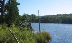 With 1963' of Long Pond frontage and 1897' of road frontage, there are so many possibilities for this land. Beautiful wooded acres with both young and older growth. Beach area and small seasonal island. This pond is so much larger than you would expect!