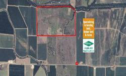 Tract contains 320 ac of 6 year old WRP. Numerous shallow water areas w. water control structures & new submersible electric pump (installed 2009) allows to flood tract for excellent duck hunting. Good perimeter roads give access throughout tract. 3 pit