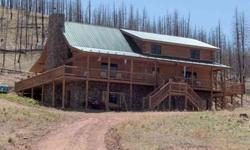 Stunning custom log home on 25+ acres borders National Forest on east & west sides; gourmet kitchen with porcelain tile floors, granite counter tops, center island, stainless steel appliances, hickory cabinets, skylights, under-counter lighting; French