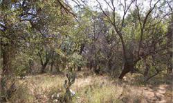 245.049 Acres-McCulloch County. Property sets North of Brady and has it all. Includes live oaks, large creek, blacktop road frontage, water system, electric, water meter, great roads, great hunting, and some of the best forage on any ranch we have ever