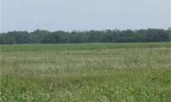 94+/- Acres ''RANCH'' land available in the Damon/Brazoria County area. Very private road access and very undeveloped. Great place to have a leisure ranch, cattle farm, or built your dream home and still have plenty of room for your animals.Listing
