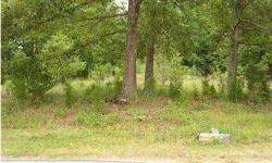 Great Midland Location! Easy access to Interstate 485! Wooded lot is "old homesite" with mature trees and old driveway. Nice level building lot.
Listing originally posted at http