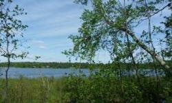 Pristine lakeshore property offering 6.5 acres of land and 340+ lake frontage on beautiful Stocking Lake. Peace and quiet at its finest. Build your dream lake home on and have Cass Lake and it chain of lakes right next door.Listing originally posted at
