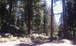 Build your mountain retreat on this beautiful lower tahoe donner lot with level access.
Listing originally posted at http
