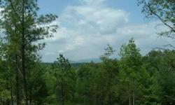 Come build your dream home in this up scale gated mountain home community of bear paw views with wide paved roads and underground utilities.nice wooded lot and will have terrific views of nc and tenn mountains with some tree clearing. Listing originally