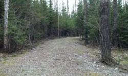 Over 6 acre backlot (Block#1, Lot#2) located in secluded Deer Ridge Estates. Deeded access to White Iron chain of Lakes. The White Iron chain provides direct access to the BWCA. A dock is in for use on the deeded access lot, a dock association is pending.