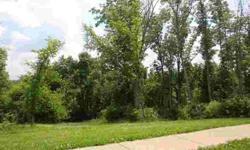 Build your dream home! Great basement lot with 1.68 acres. Partially wooded. Conveniently located to Richmond and Lexington!Listing originally posted at http