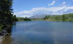 54+ Beautiful Acres on Henry's Lake Outlet in Island Park, Idaho. About 500ft of lake front on Henry's Lake outlet, perfect for a boat dock (great fishing too!), approximatley 1000ft of river frontage on the Henry's Fork of the Snake River below the dam.