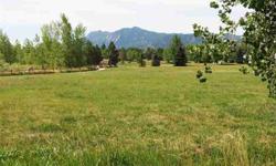 Quiet, peaceful and park-like, this 1/2 acre lot has Flatirons views and huge trees. Silver Lake ditch rights included.Listing originally posted at http