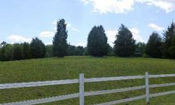 5 ACRES!!! Beautiful Lot in sought after Clifton Area. Rolling land mostly cleared but with some trees and fencing. Come find your perfect home site here.
Listing originally posted at http