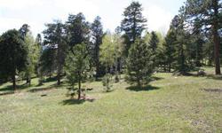 Historic building site of the old Beaver Lodge in Evergreen, this 8.4 acre sunny, south facing lot easily rivals any lot in Soda Creek. Only 8 minutes to Evergreen Parkway, the lot is private and gently sloping with a nice mix of mature trees (aspen,