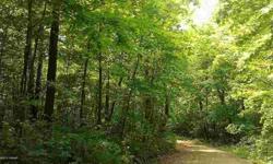 Looking for wooded privacy on a crystal clear lake? 596' of shoreline and 12.53 acres of woods! No gravel roads to this property! Choose from a variety of building sites or take your pick & develop the rest...there are options here! Seller will grant a