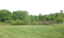 36 BEAUTIFUL ACRES IN BLUE SPRINGS SCHOOL DISTRICT. LOTS OF WOODS + PLENTY OF PASTURE, 3 PONDS, 1 POND IS STOCKED WITH CATFISH, BLUEGILL AND SOME BASS + SMALL CREEK. THIS PROPERTY IS FENCED AND CROSSFENCED WITH 2 -SHEDS, 36X50 BARN WITH CONCRETE FLOOR,