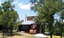 Get-a-way cabin or hunters lookout! Furnished for the new owner staying a week or month etc. Oversized room with living area, kitchen and 3/4 bath. Loft sleeping area. A couple out buildings are included. 40-60R wall insulation. Cistern and septic