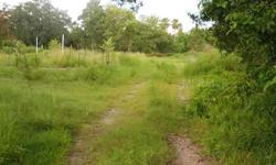 1 Acre Vacant Lot, 43,512 sq ft +/-, Zoned RSF 4.5, Future Land Use