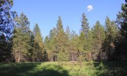 Great location to build your retirement home in the land of recreational beauty. Hunting, fishing, boating, hiking, ATVing all within minutes of this property. Easy commute by either Hwy 395 or Hwy 2 to Spokane and all its amenities. Malls, concerts or a